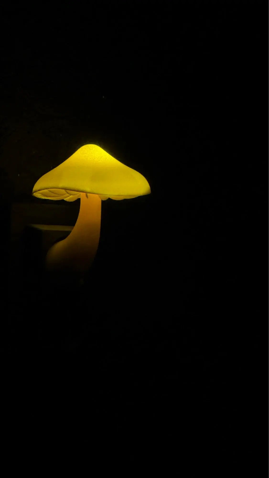 Magical Mushroom Night Light